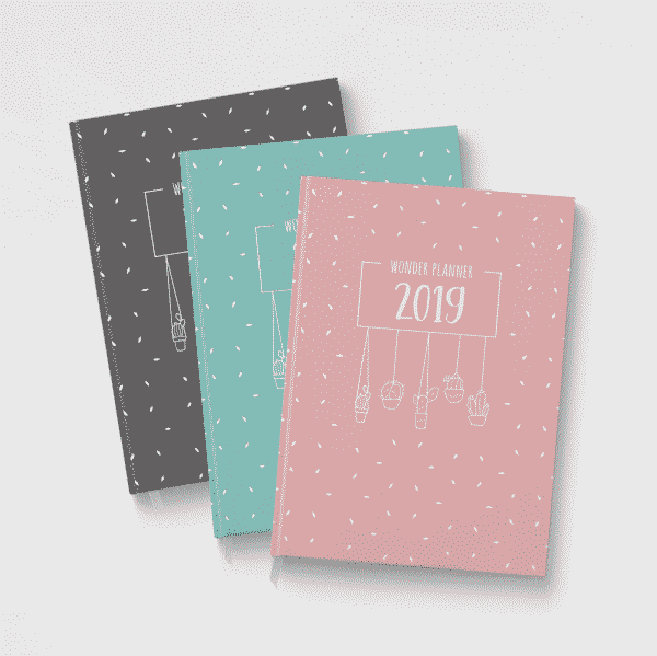 Wonderspot Wonder Planner 2019