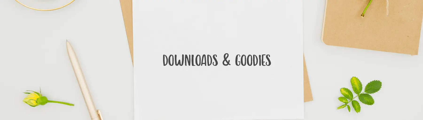 Free Downloads und Goodies Wonderspot